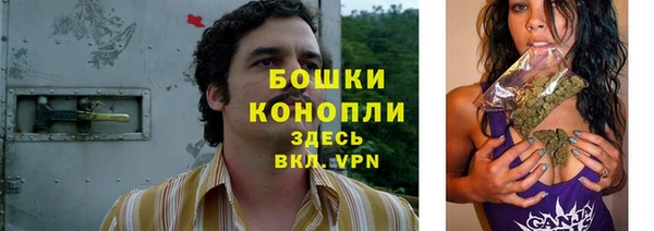 стафф Михайловск