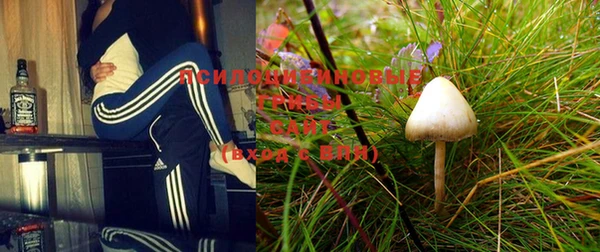 мескалин Михайлов