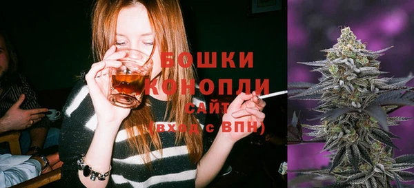 стафф Михайловск