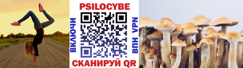Галлюциногенные грибы GOLDEN TEACHER  Красный Кут 